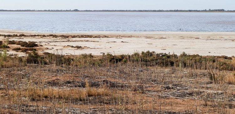 Water's Edge, Lake Tutchewop