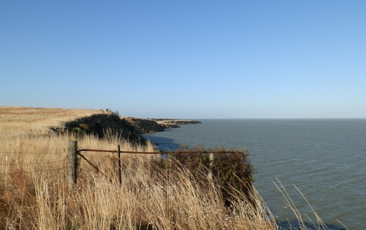 Lake Alexandrina, via Goolwa, South Australia