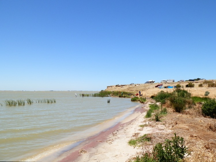 Mark Point Campground, Lake Alexandrina, South Australia