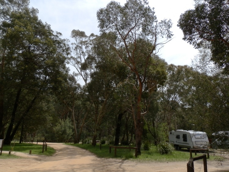 Borough Huts Campground, Grampians National Park
