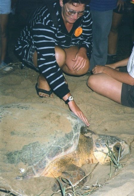 Red with Turtle, Mon Repos, Bundaberg