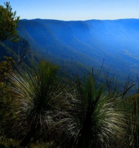 Tweed Volcano Caldera Edge