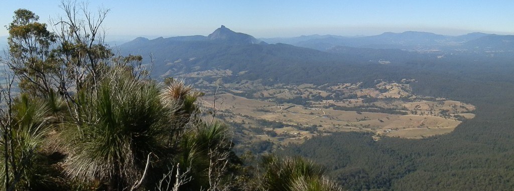 Mt Warning from Pinnacle Lookout