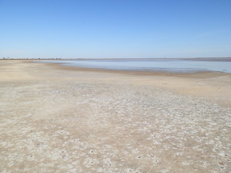 Lake Tutchewop dries out