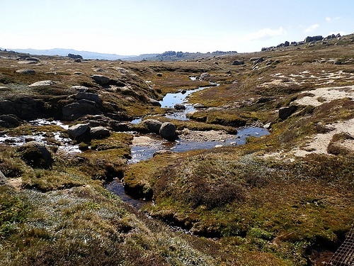 Headwaters of the Snowy River, Mt Kosciuszko Summit Track, Snowy Mountains