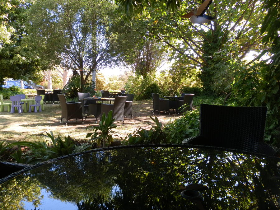 Doing Lunch in Kununurra, 10 Top Budget Travel Tips
