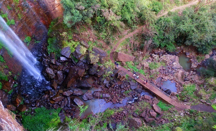 Above Queen Mary Falls, Border Ranges National Park