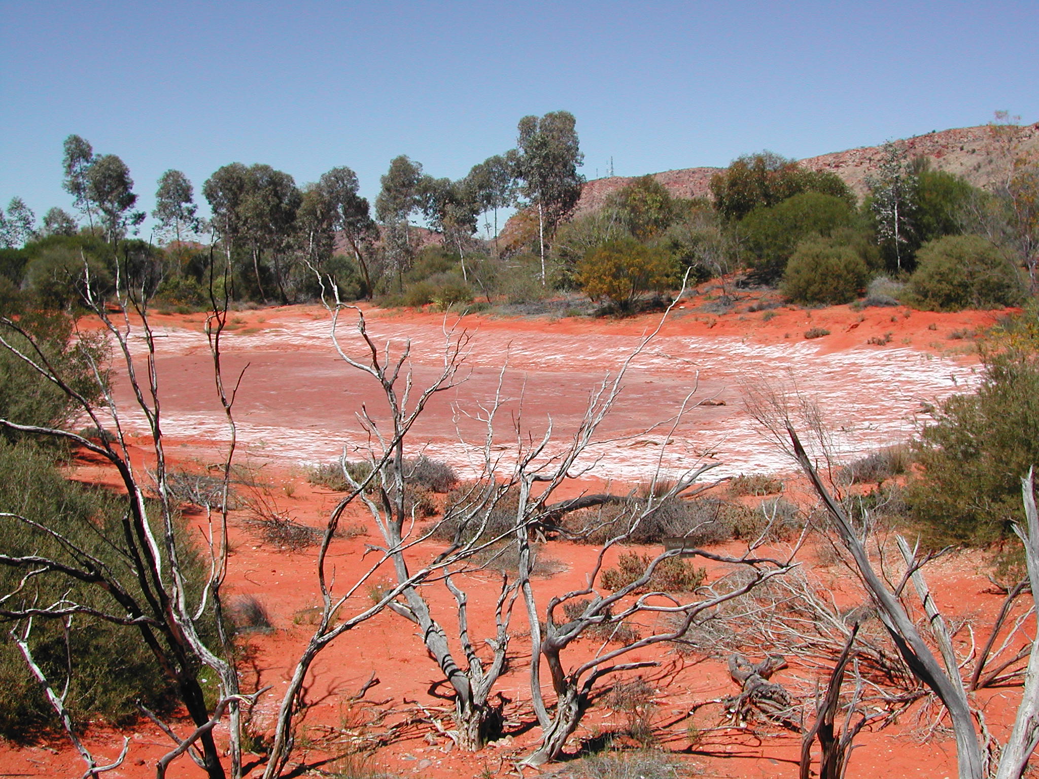 Alice Springs Desert Park, Things to do in Alice Springs