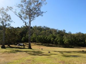 Andrew Drynan Park Campground, Queensland