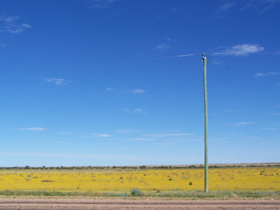 Bedourie Landscape, Queensland