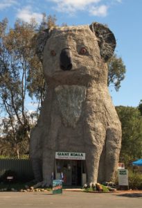 Big Koala, Dadswells Bridge, Victoria, Australia
