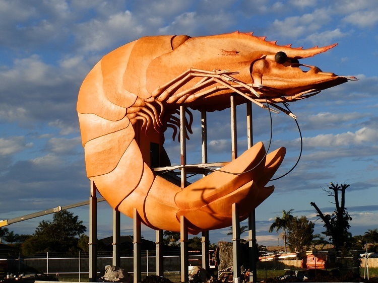 Big Prawn, Ballina