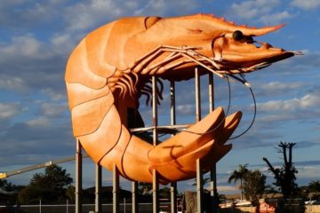 Good enough to EAT!  Big Prawn, Ballina, New South Wales