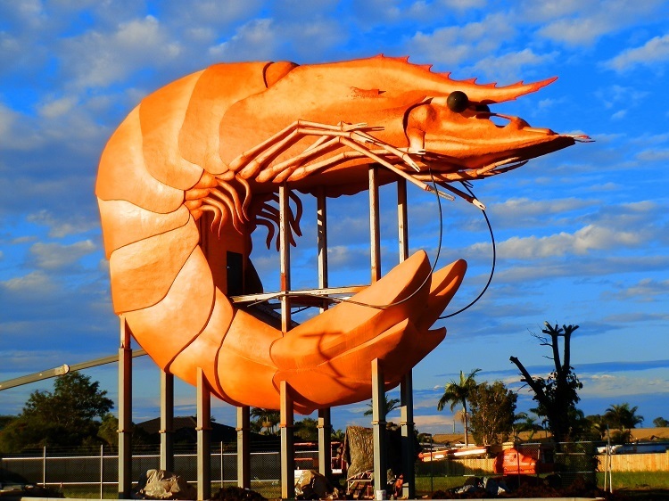 Big Prawn MAGIC! Ballina, New South Wales