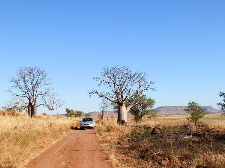 En Route to Marlgu Billabong, via Wyndham, Western Australia