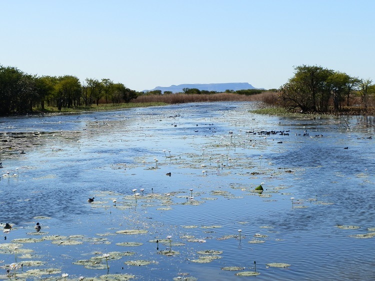 The extensive Marlgu Billabong, via Wyndham & Kununurra, Western Australia