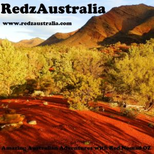 RedzAustralia Logo