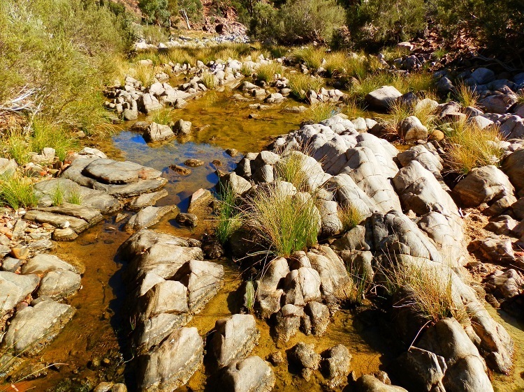Bollabollana Waterholes
