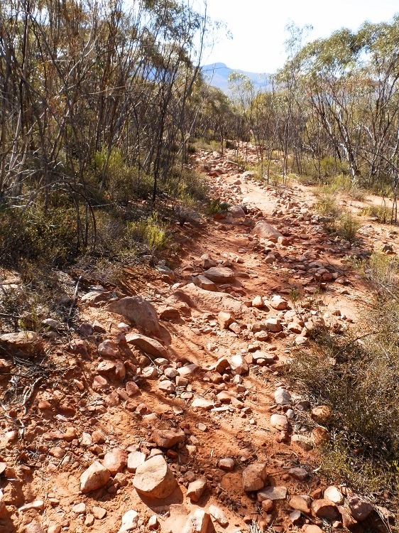 Bridle Gap Trail