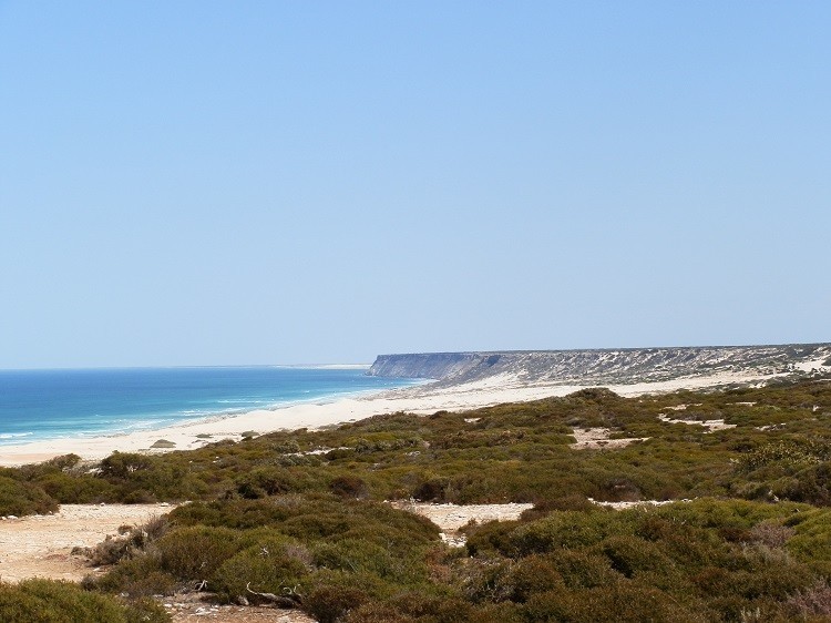 The Bunda Cliffs and Bight, Eyre Highway, South Australia