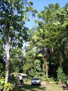 Cool Waters Caravan Park, Cairns, Far North Queensland