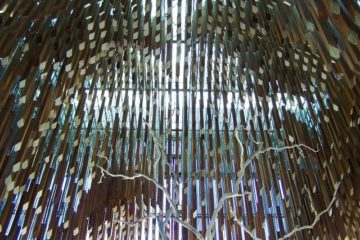 Under the Canopy - Tree of Knowledge, Barcaldine