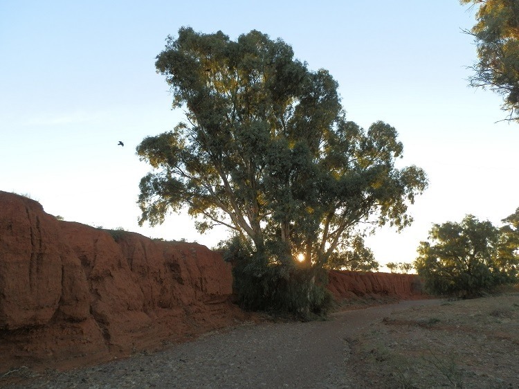Sunset at the Creek bed, Carrieton South Australia