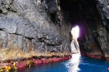Sea Cave Bruny Island