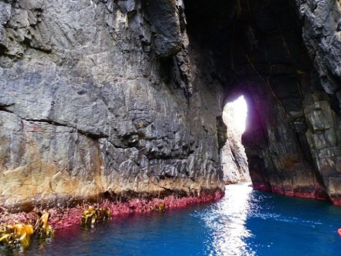 Sea Cave Bruny Island