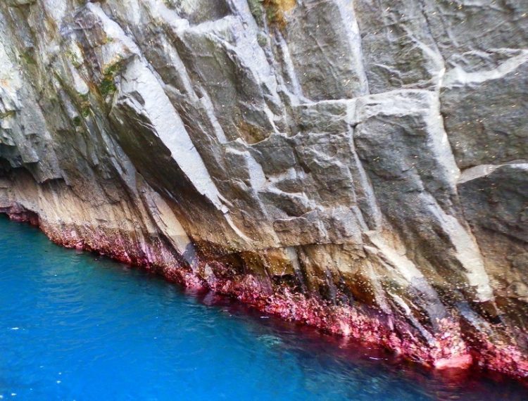 Sea Cave Wall Patterns!