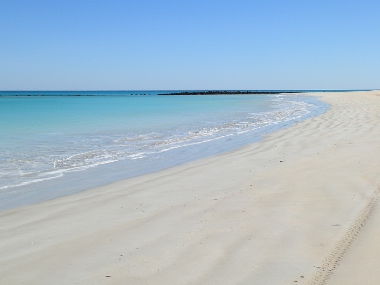 That darned Dune Buggy Track! Coconut Wells Beach