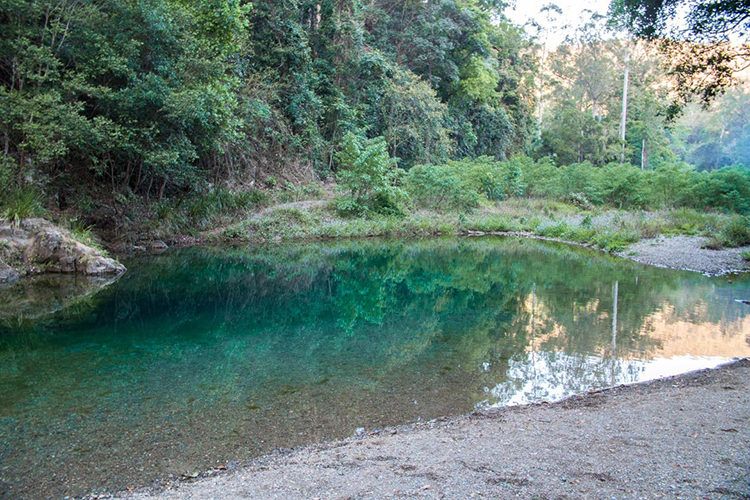 Booloumba Creek, Conondale, Queensland*
