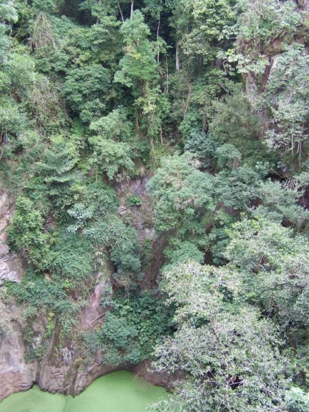 Green rainforest all the way down to the green water ... Mt Hypipamee Crater