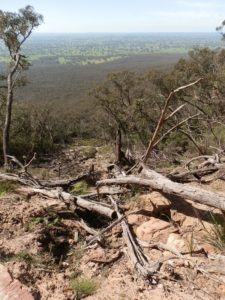 Damage to Mt Abrupt Track