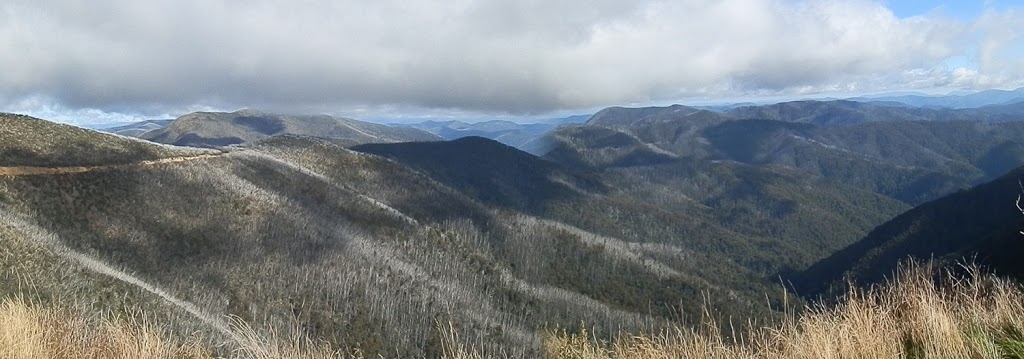En Route to Mt Hotham, Victorian Alps, Australia