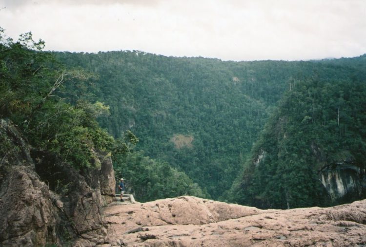 ilchard at the Eyrie- a 293 metre drop to the bottom of Tully Gorge, QLD