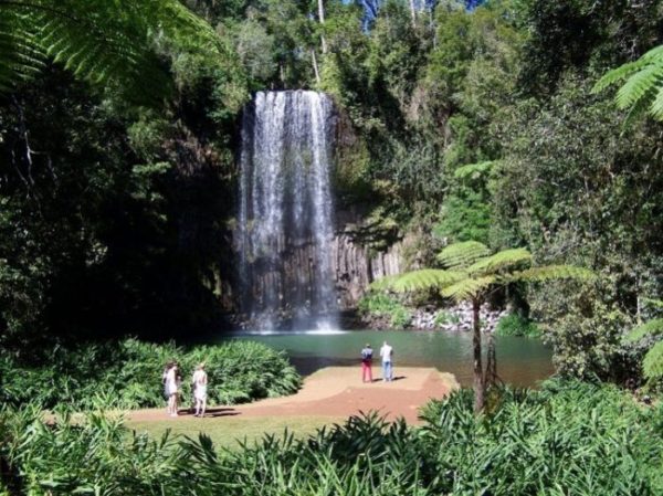 Millaa Millaa Falls, Atherton Tablelands, Far North Queensland