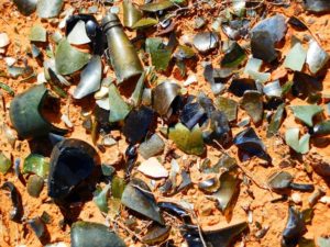 Old bottles, Farina Ruins, South Australia