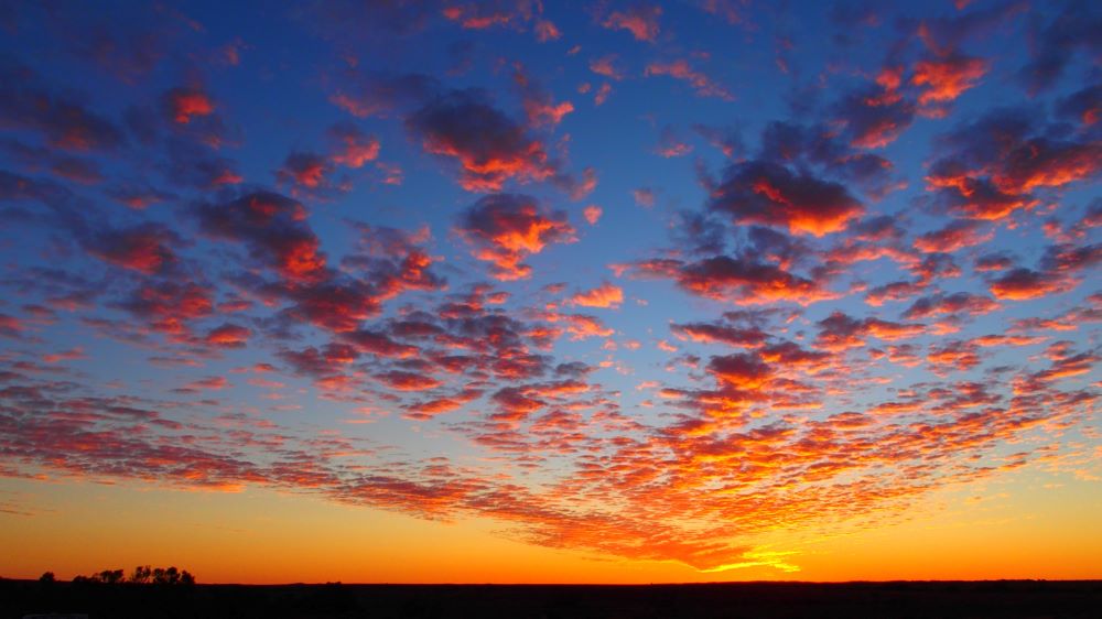 Farina Station Campground, Outback South Australia