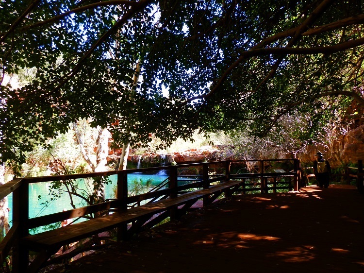 Fern Pool, Dales Gorge, Karijini National Park