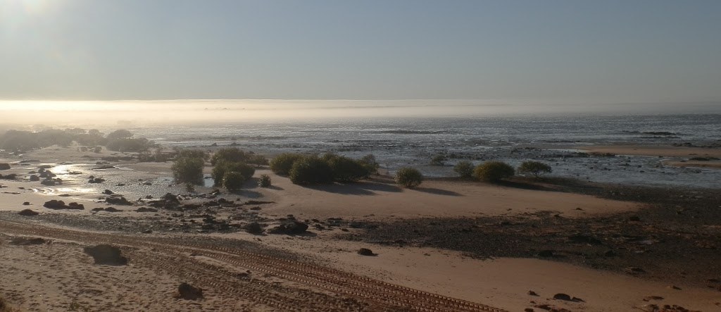 Foggy Morning, Broome Bird Observatory, Western Australia