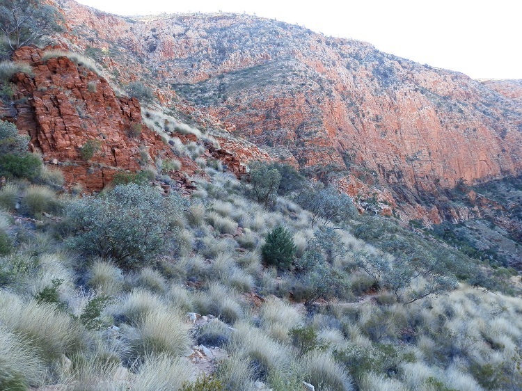 Ghost Gum Loop Trail at Sunset, Ormiston Gorge, Central Australia