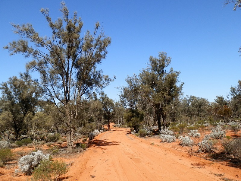 Gluepot Reserve, South Australia