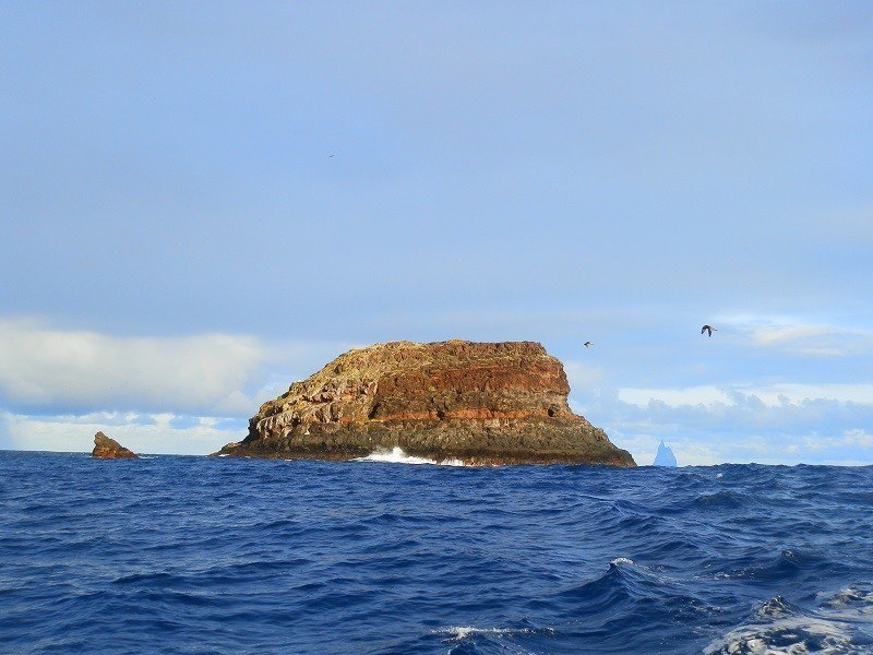 Balls Pyramid from Gower Island