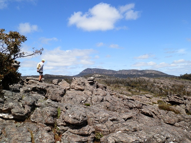 Pilchard and the Sleeping Giant behind the Pinnacle, Grampians National Park