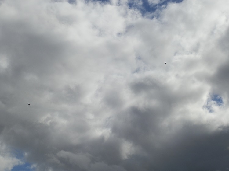 What ARE those black specks in the stormy sky above Ballina, New South Wales???