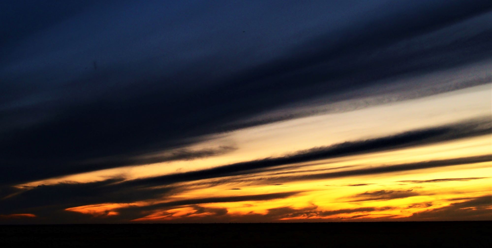 Hay Plain, via Deniliquin, New South Wales