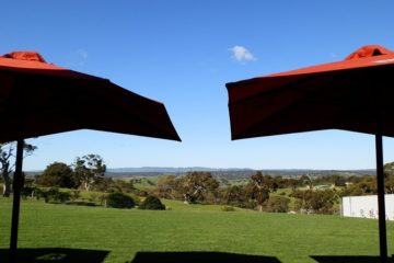 Umbrellas at Tenafeate Creek Wines, Adelaide Hills, South Australia