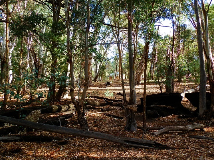 Hills Homestead, Wilpena Pound, South Australia