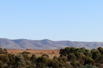 Horseshoe Range from Carrieton, South Australia